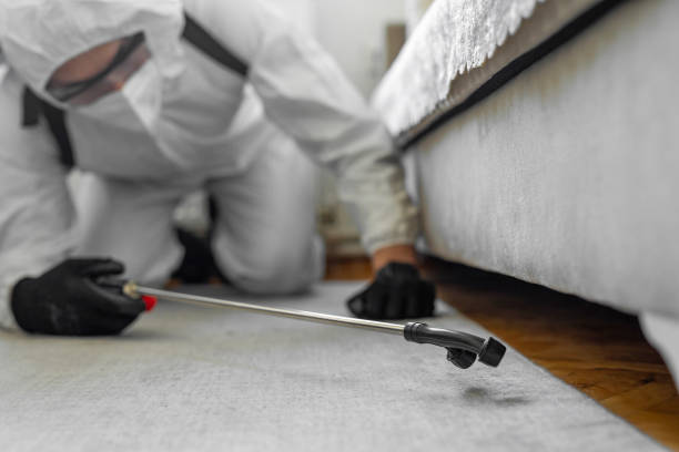Professional Bed Bug Control technician working in Mendota Heights, MN